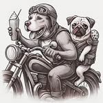 Clutch & Throttle